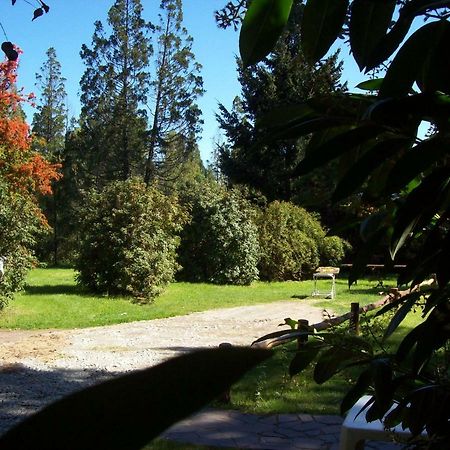 Cabanas Auquin Lemu Lago Puelo Eksteriør bilde